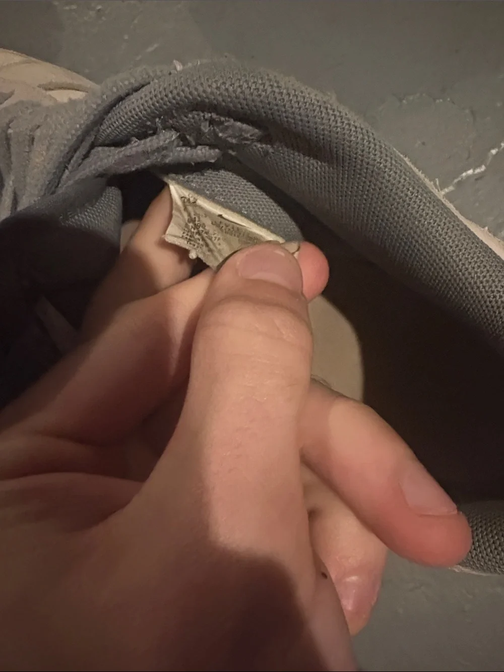 Nike Men’s Low-Top Sneakers in Gray and Beige